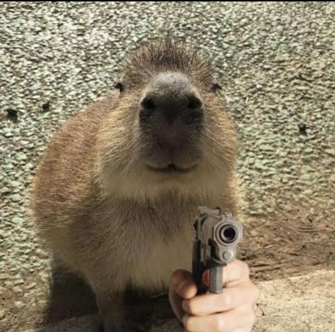 Capivaristicos